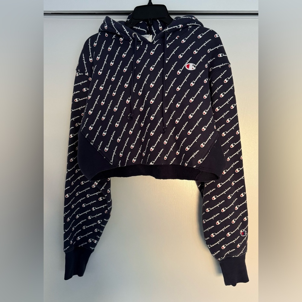 Champion cropped hoodie
